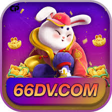 66dv Premium - Free Download
